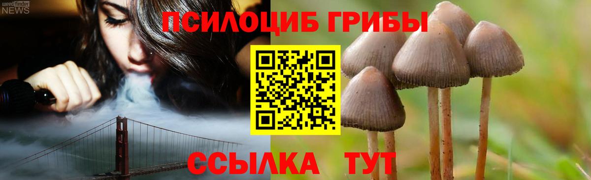 Псилоцибиновые грибы MAGIC MUSHROOMS  Вход с VPN  Тольятти 